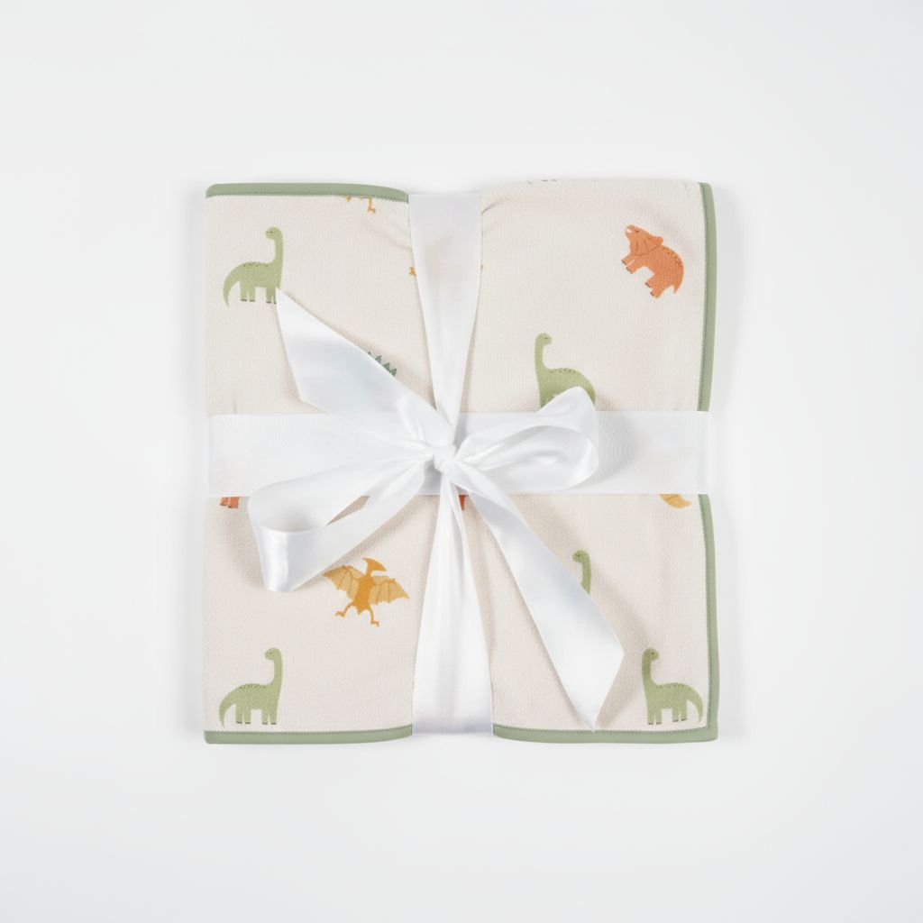 Dino Dreams Towel