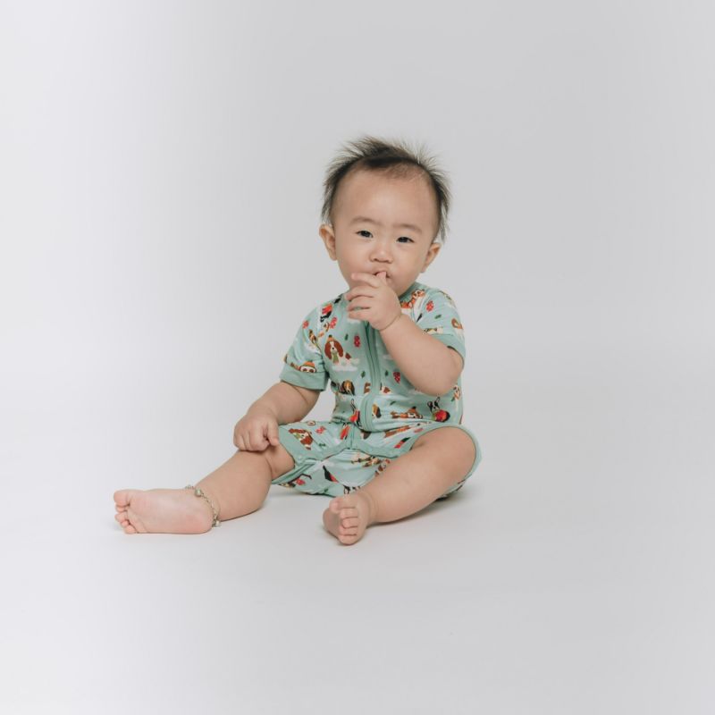 Puppy Love Blue Half Sleeves Zipper Romper For Baby