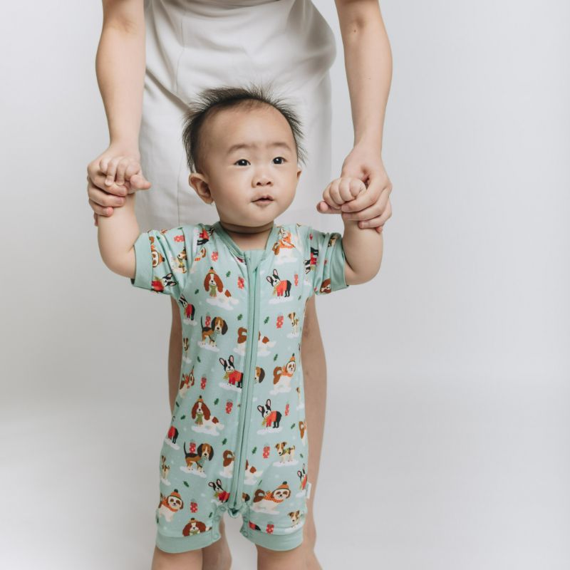 Puppy Love Blue Half Sleeves Zipper Romper For Baby