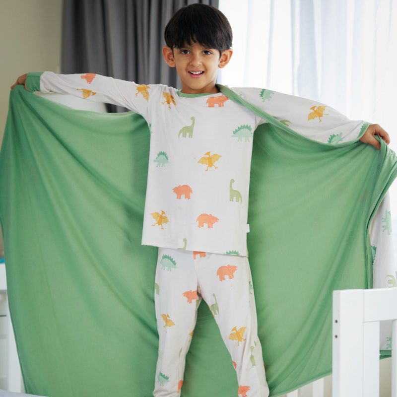 Dino Dreams Cloud Blanket