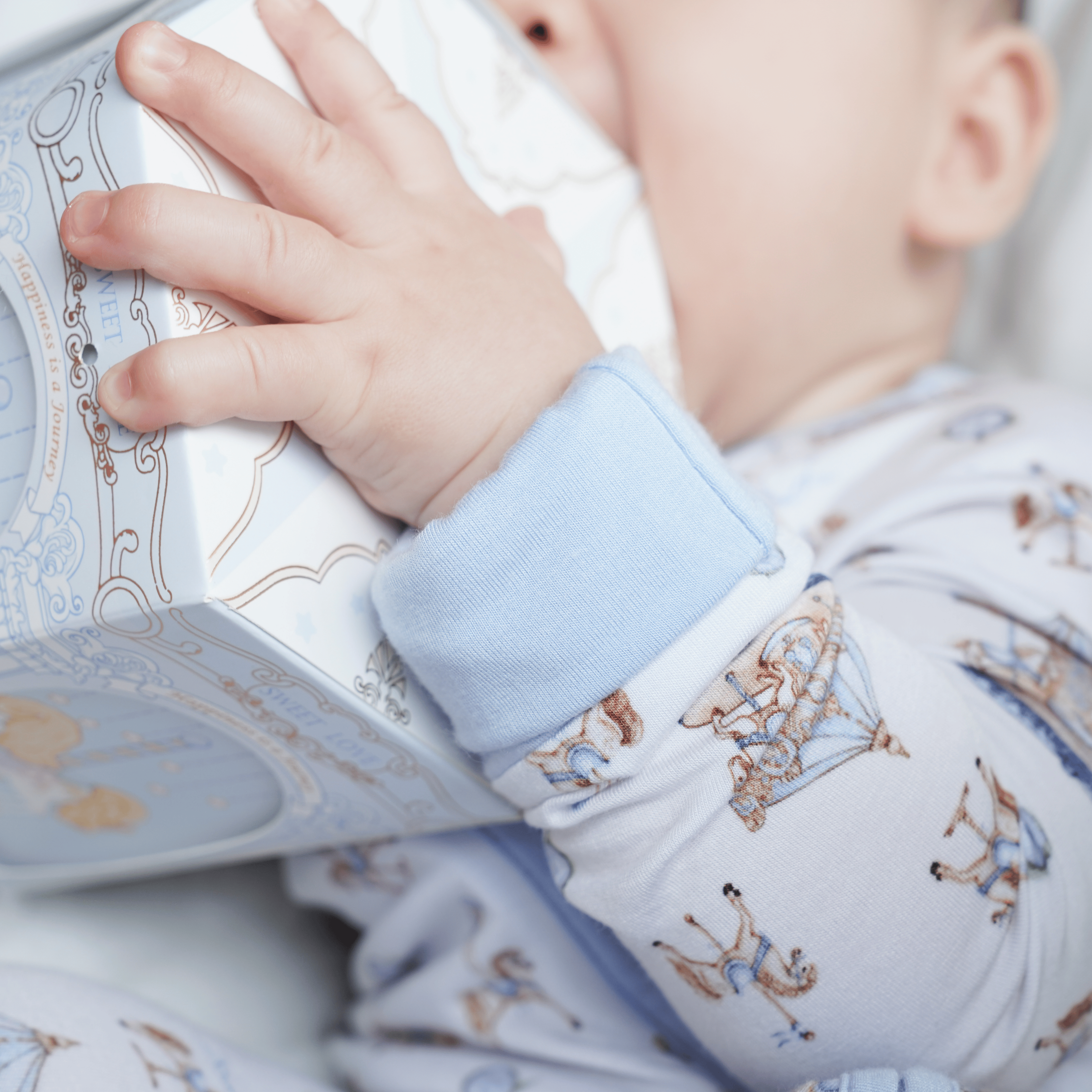 Carousel Blue Long Sleeves Zipper