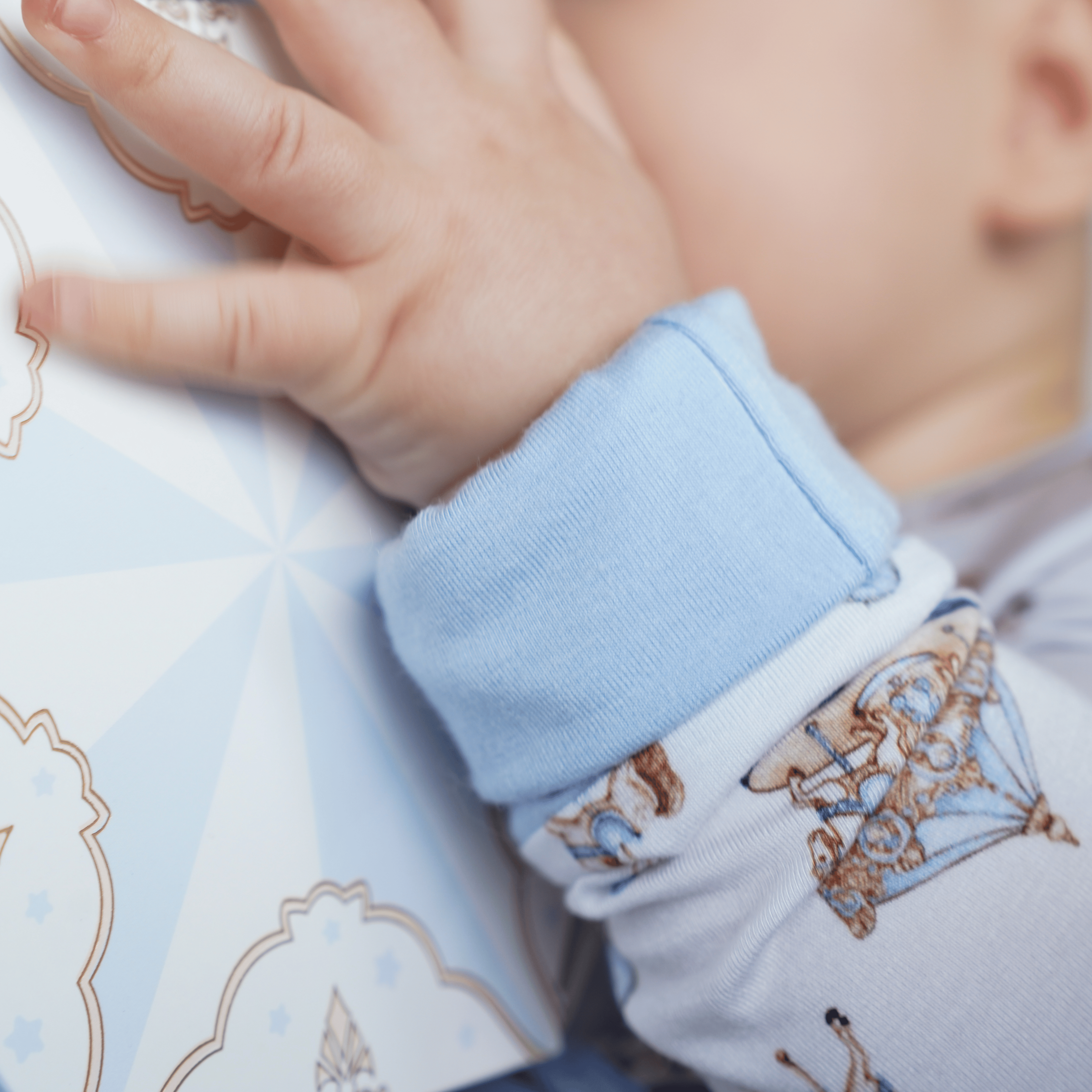 Carousel Blue Long Sleeves Zipper