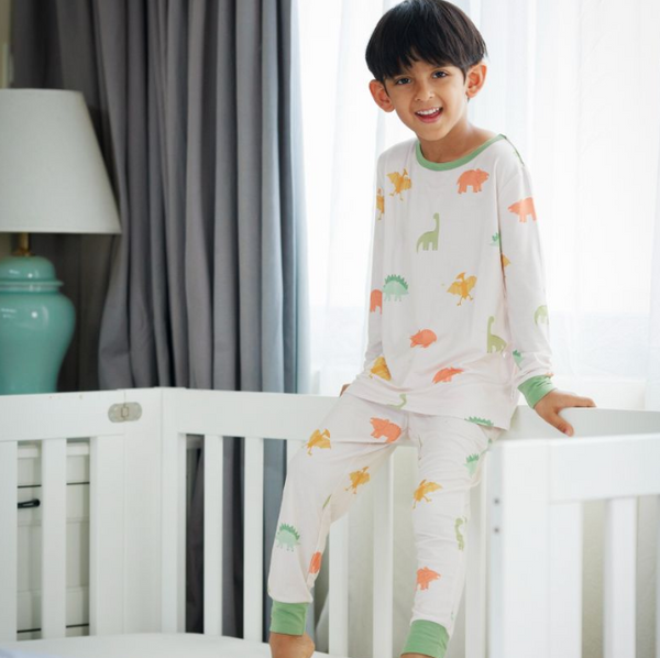 Dino World & Dino Dreams Pajama Set Combo