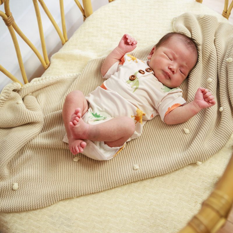 Dino Dreams Bodysuit Onesie