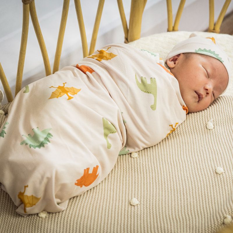 Dino Dreams Swaddle and Hat Set