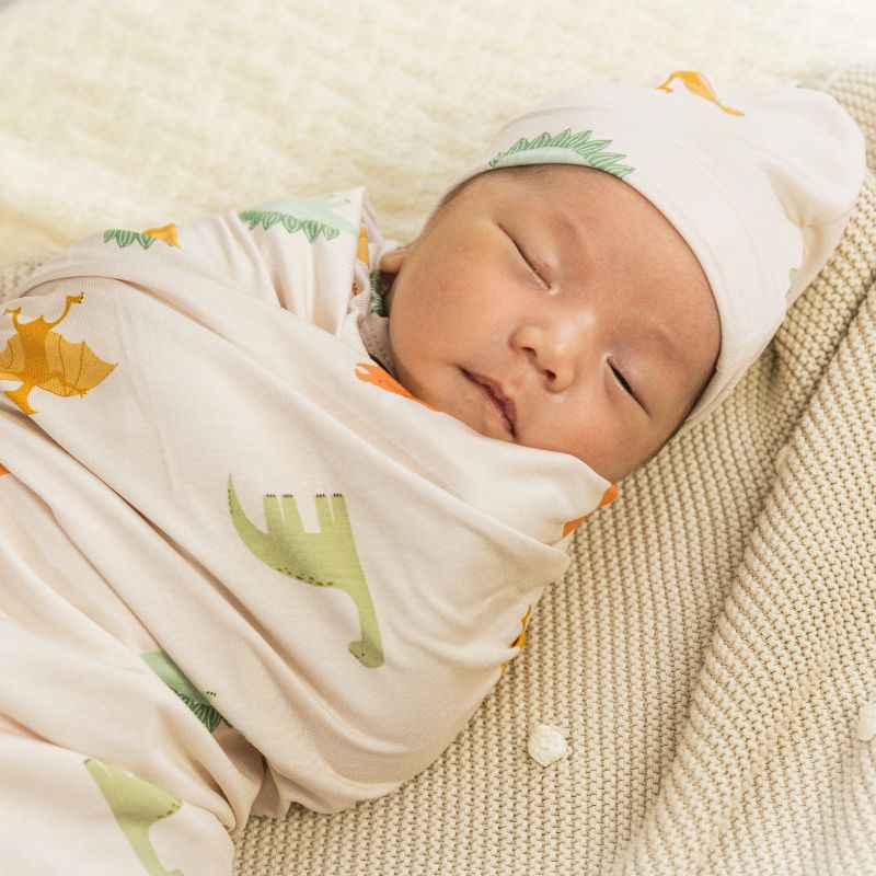 Dino Dreams Swaddle and Hat Set