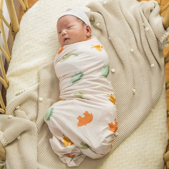Dino Dreams Swaddle and Hat Set