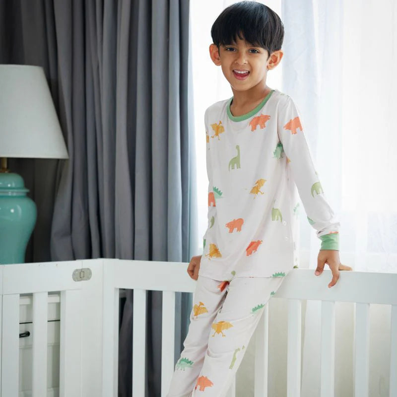 Farm Buddies & Dino Dreams Pajama Set Combo