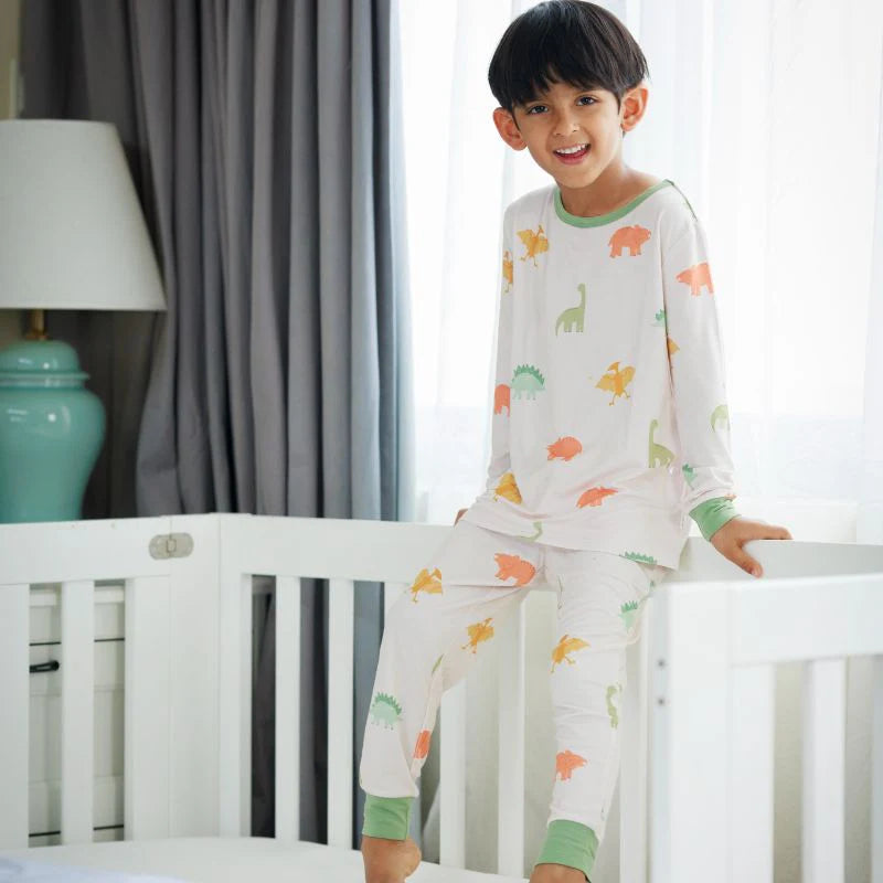 Farm Buddies & Dino Dreams Pajama Set Combo