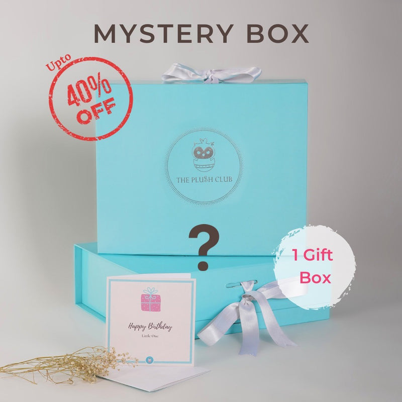 Mystery Gift Box (1 Surprise Gift Box) - up to 40% off