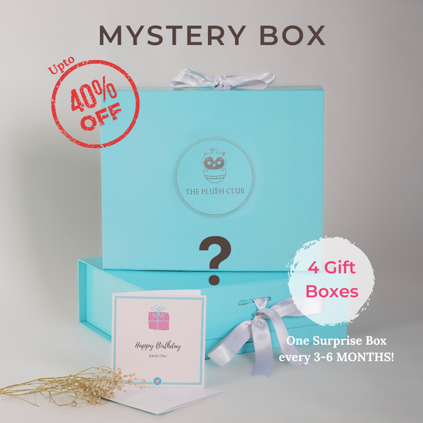 Mystery box // large mystery box // top surprise box