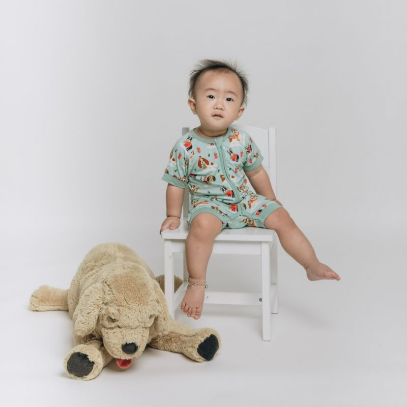 Puppy Love Blue Half Sleeves Zipper Romper For Baby