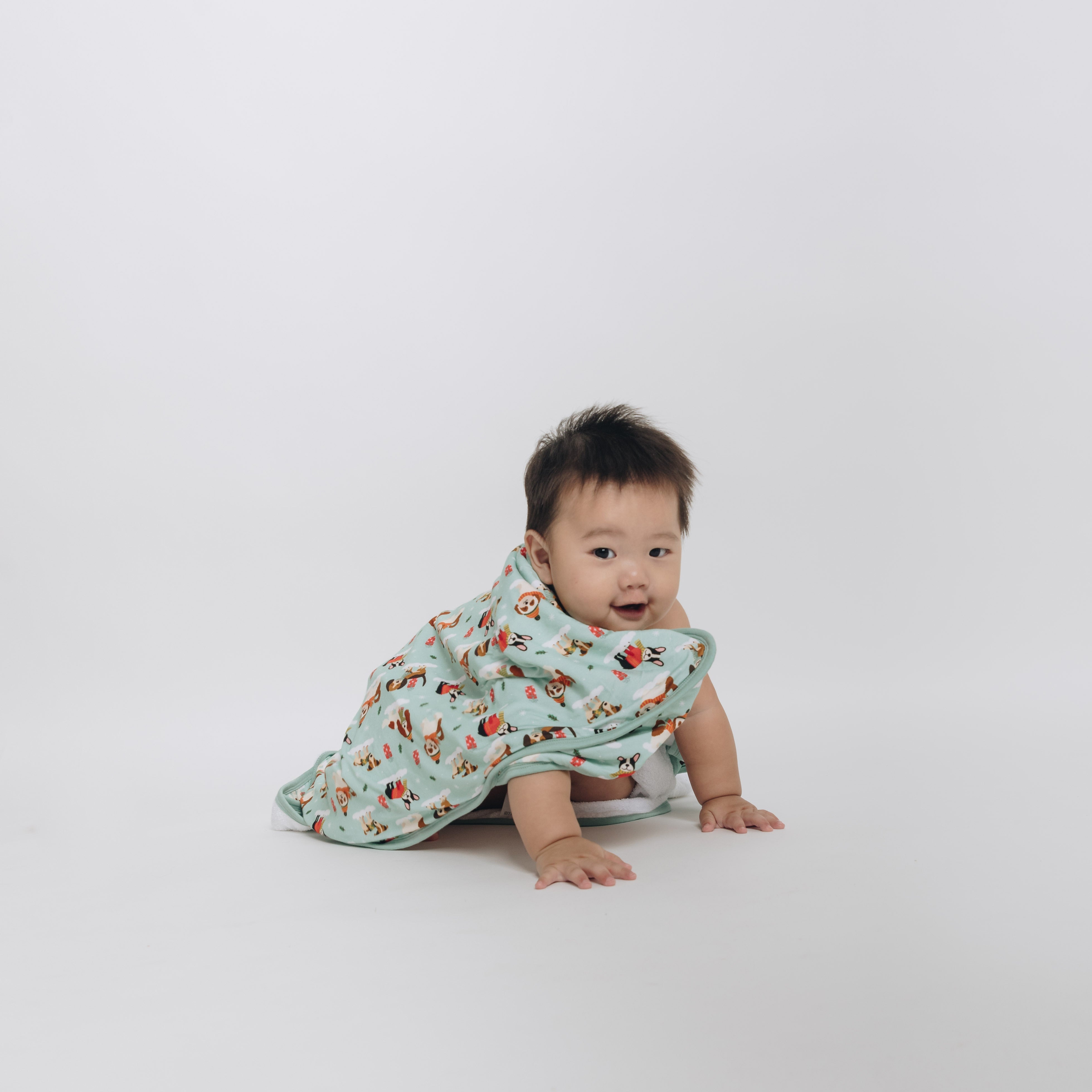 Puppy Love Blue Bamboo Baby Boy Hooded Towel